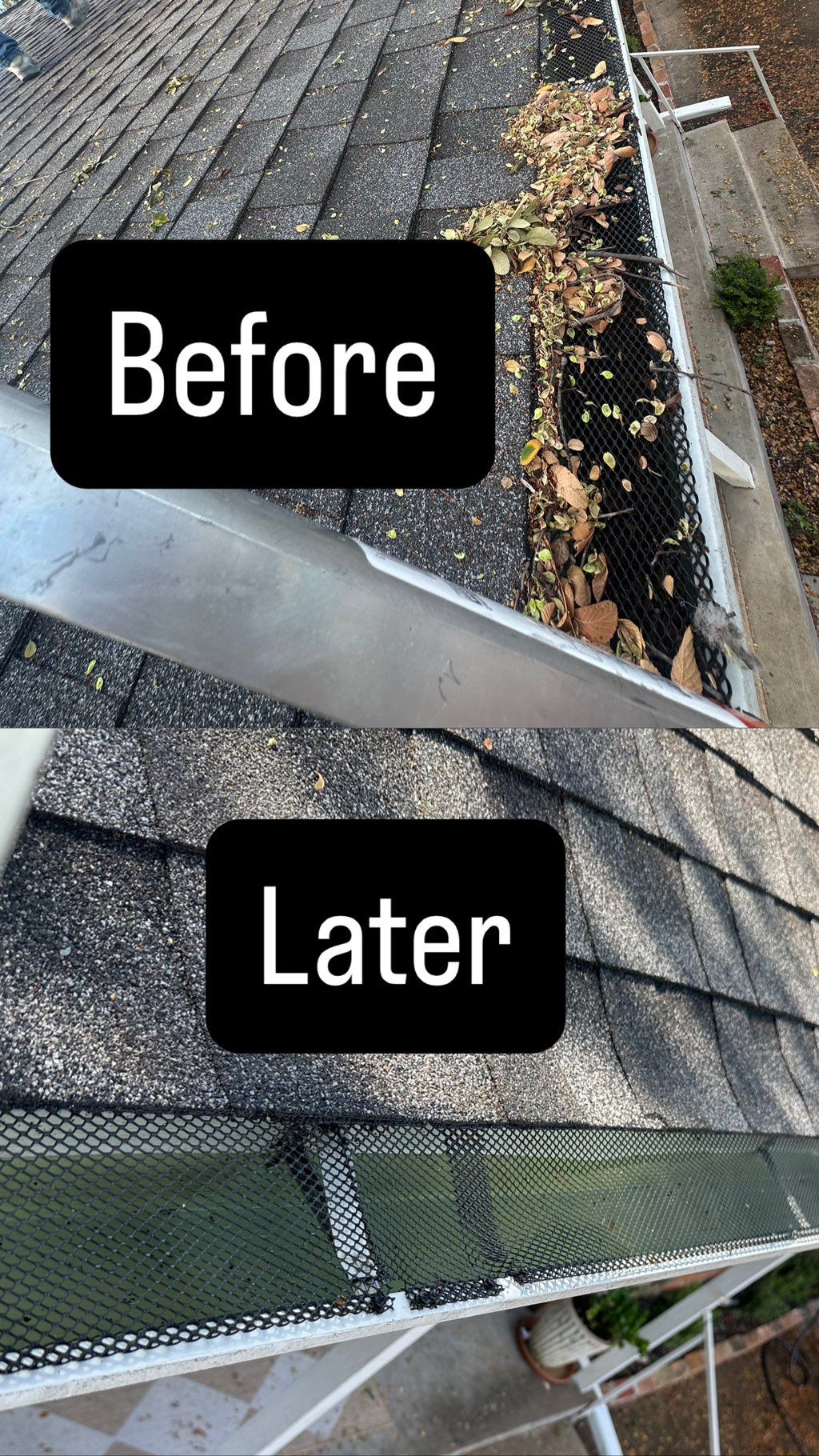 Gutter cleaning