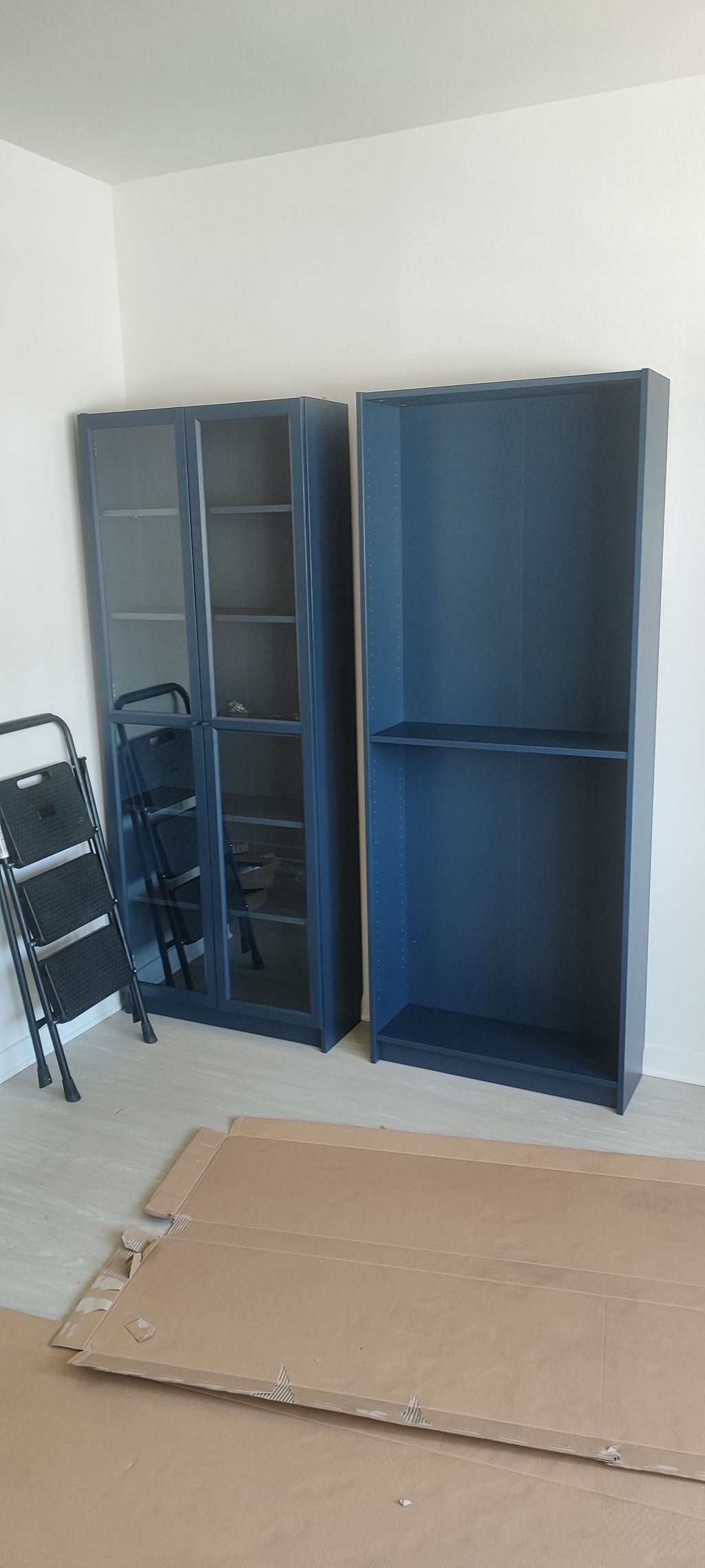 Projects and media