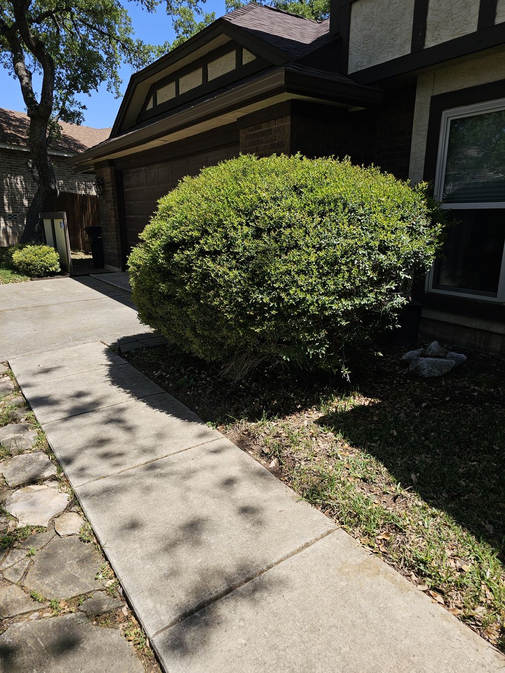 Hedge Trimming