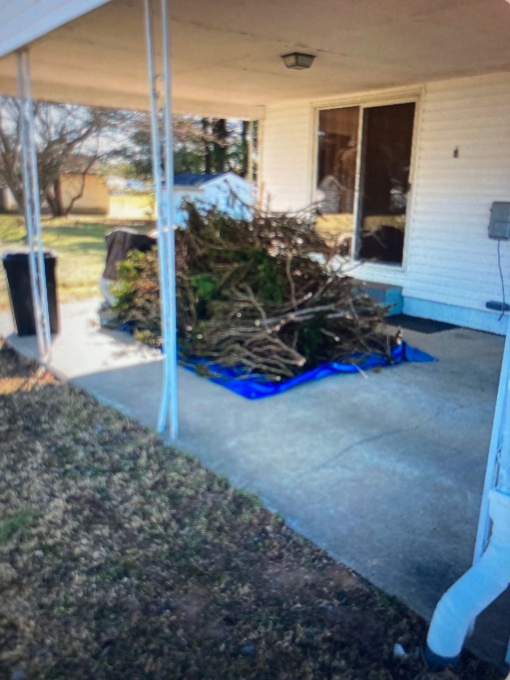 Haul off yard debris
