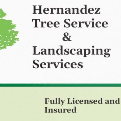 Avatar for Jose Hernandez