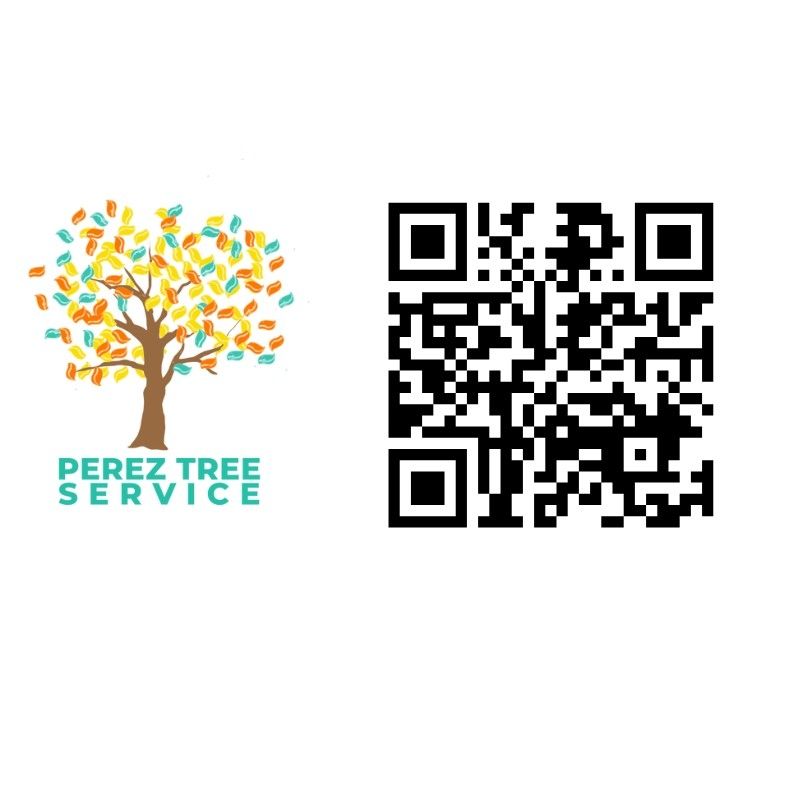 PEREZTREESERVICE