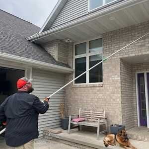 Dewebbing and Removing Wasp Nests