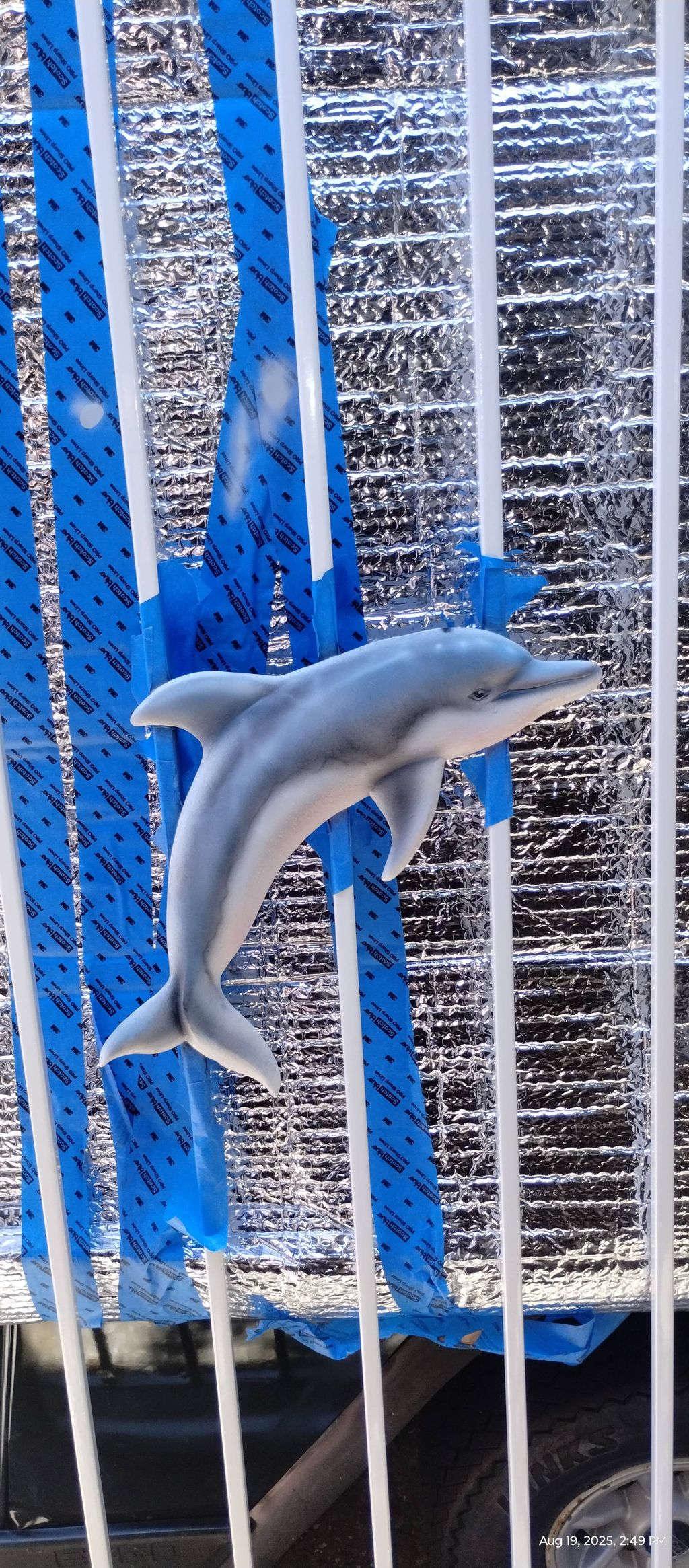 airbrushed dolphin door