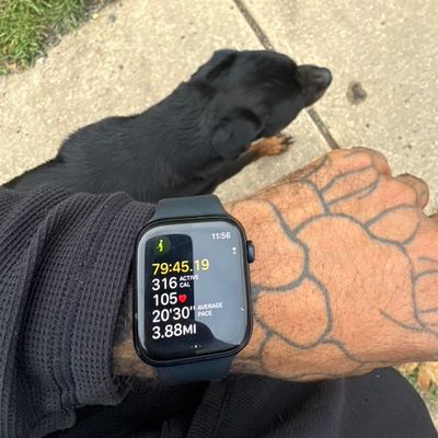 Avatar for VonSavageKennel