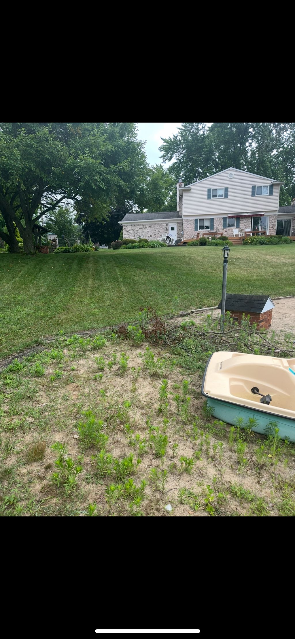 Before {weeding}