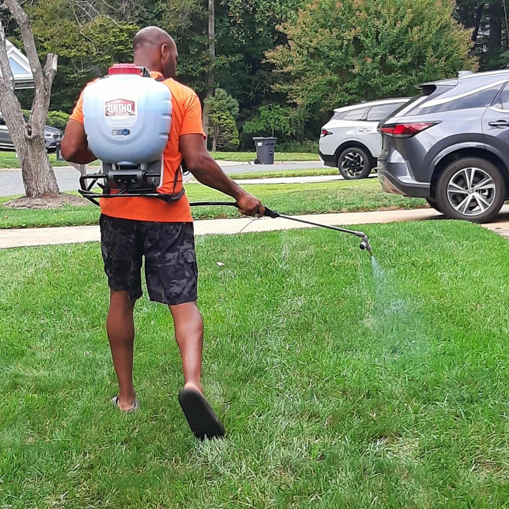 Spraying weed control