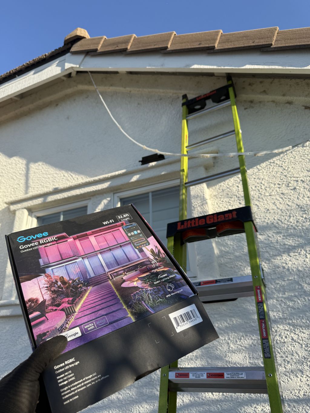 Projects and media