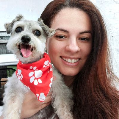 Avatar for Joy Pet Groomer