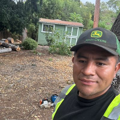 Avatar for Álvaro Redwood Tree service