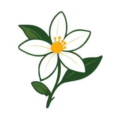 Avatar for Breathe Easy FL