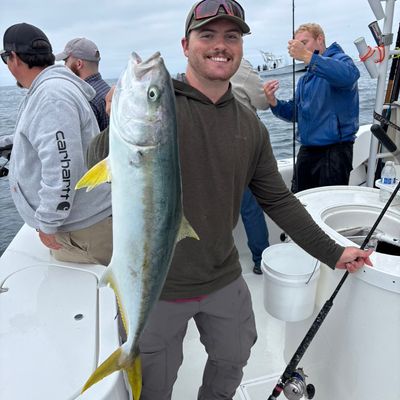 Avatar for Matthew Killeen