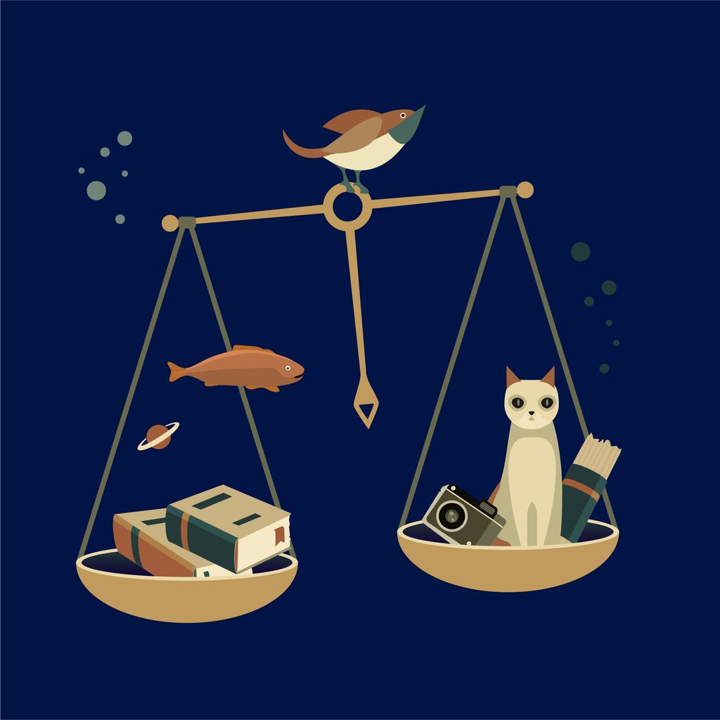 Projects and media