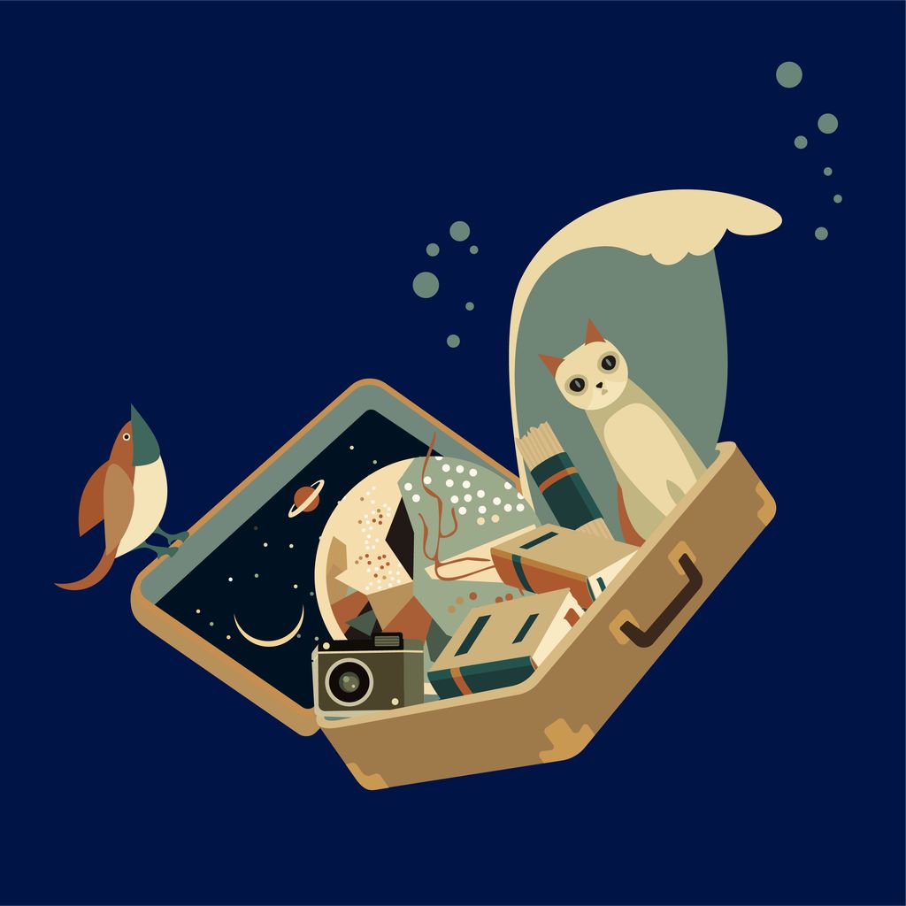 Projects and media