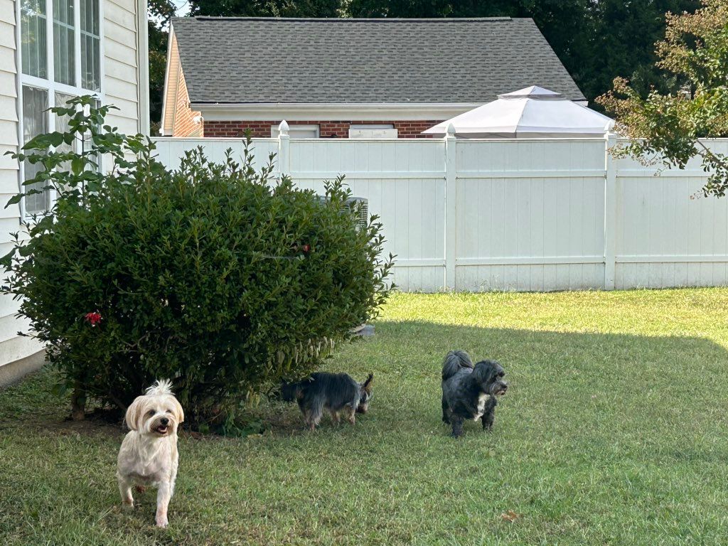 Cooper, Ash & Noodles