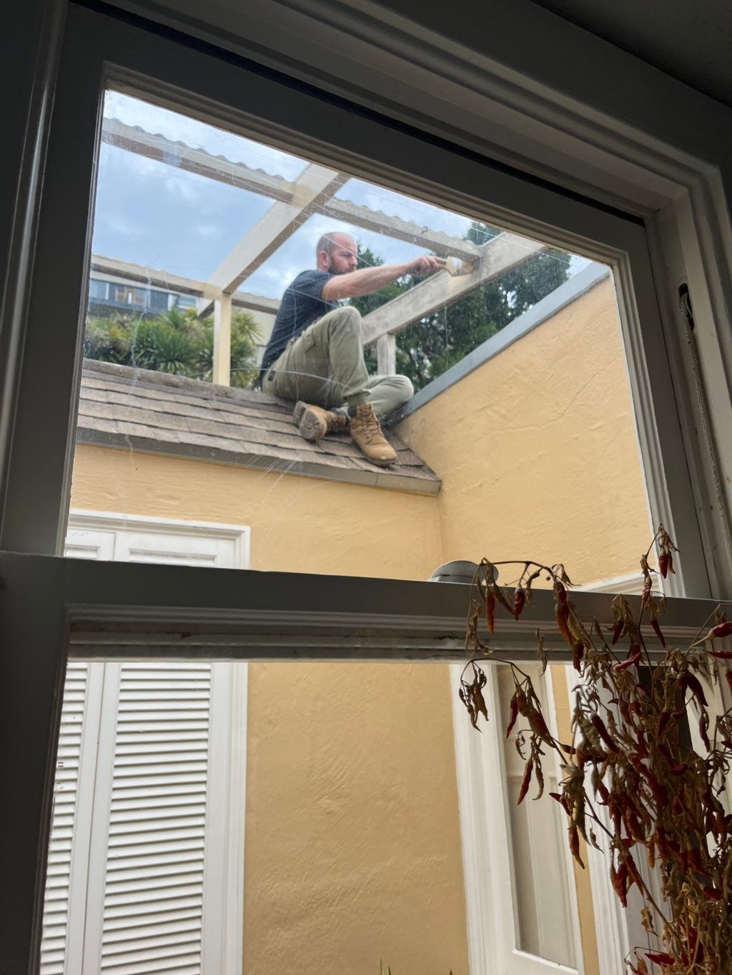 Customer photos