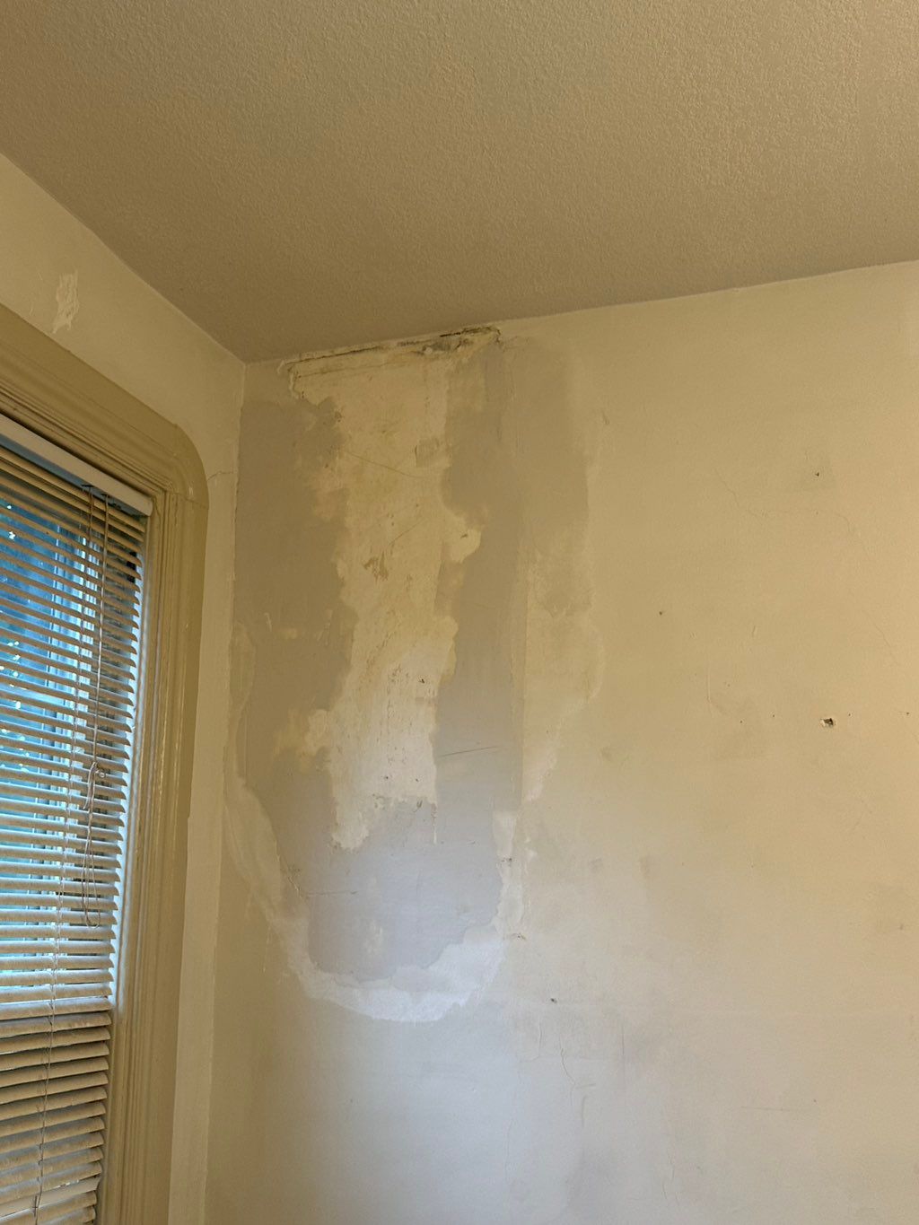 Plaster repairs 