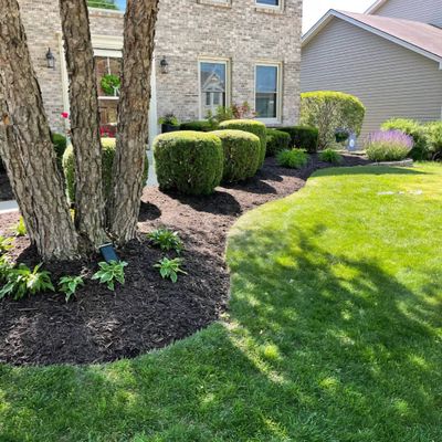 Avatar for Castillo's Lawn Care Service
