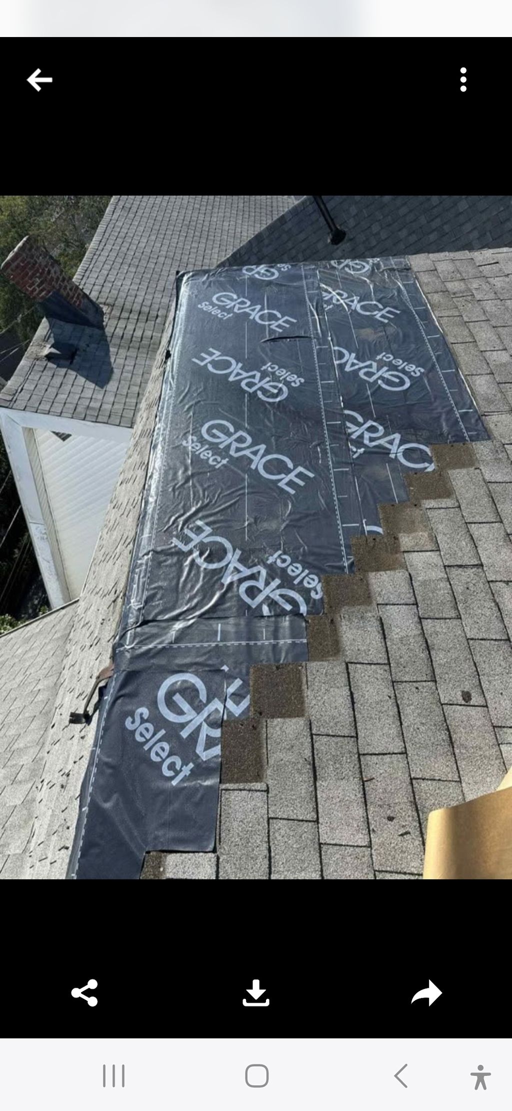 Customer photos