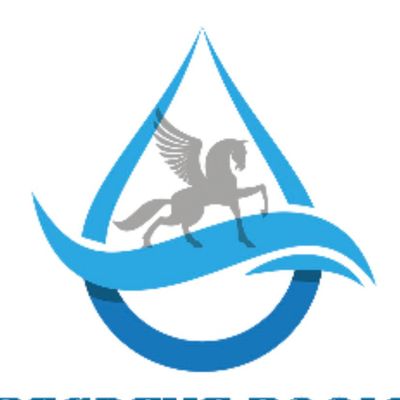 Avatar for Pegasus Pools
