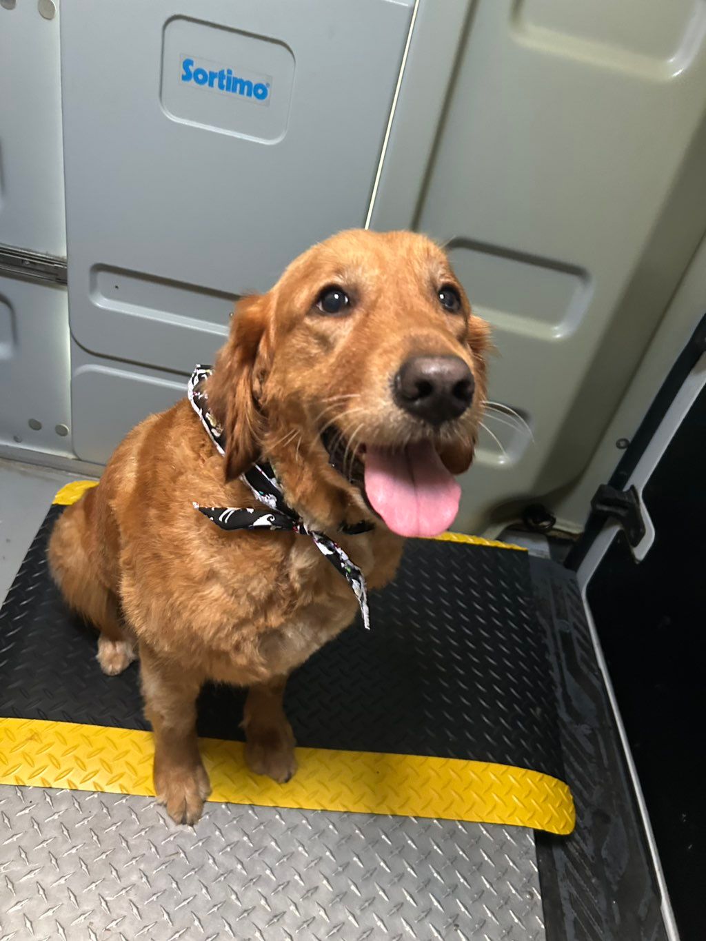 Honey really lives up to her name, such a sweethea