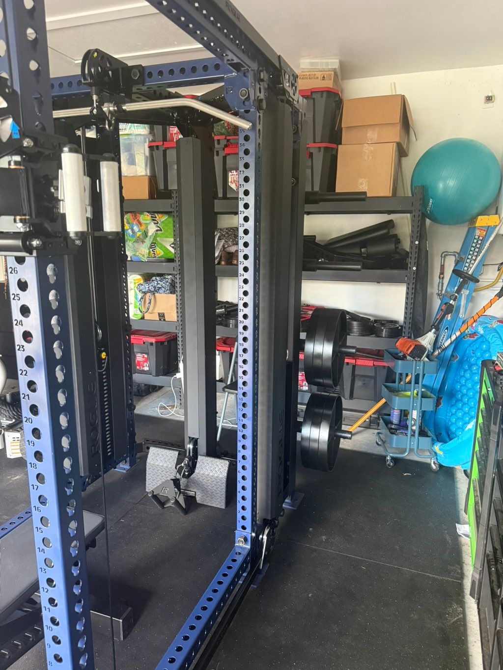 Projects and media