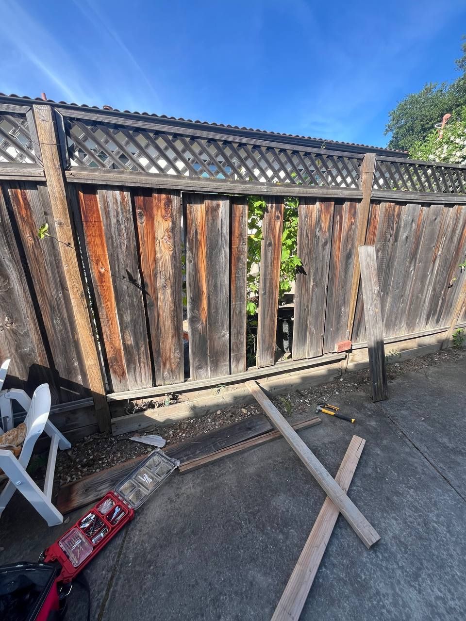 Customer photos