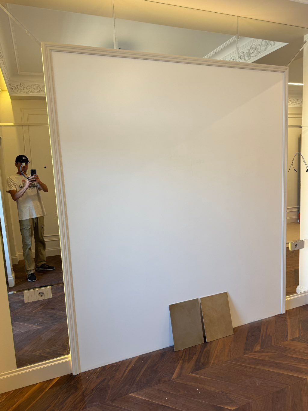 Projects and media