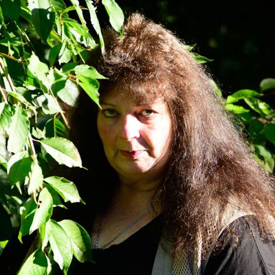 Avatar for LJ Photographics LLc