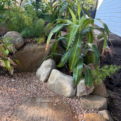 Avatar for Ledesma Landscape Maintenance