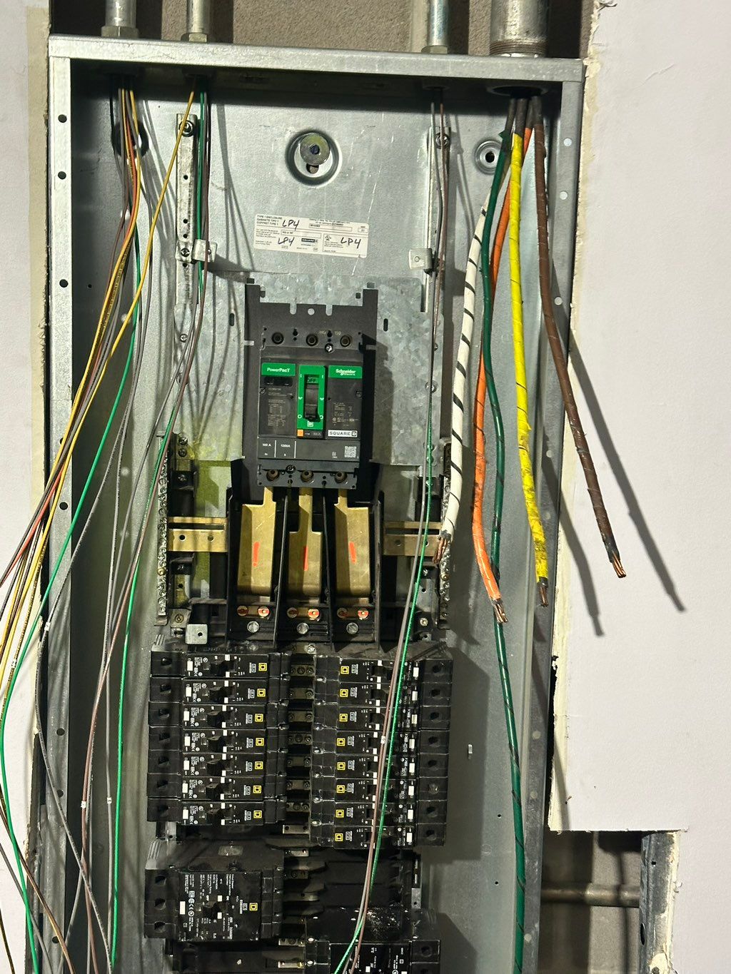 Projects and media