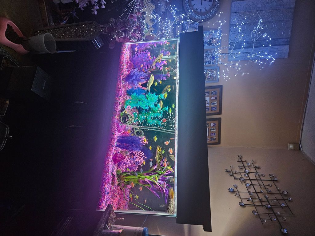 Customer photos