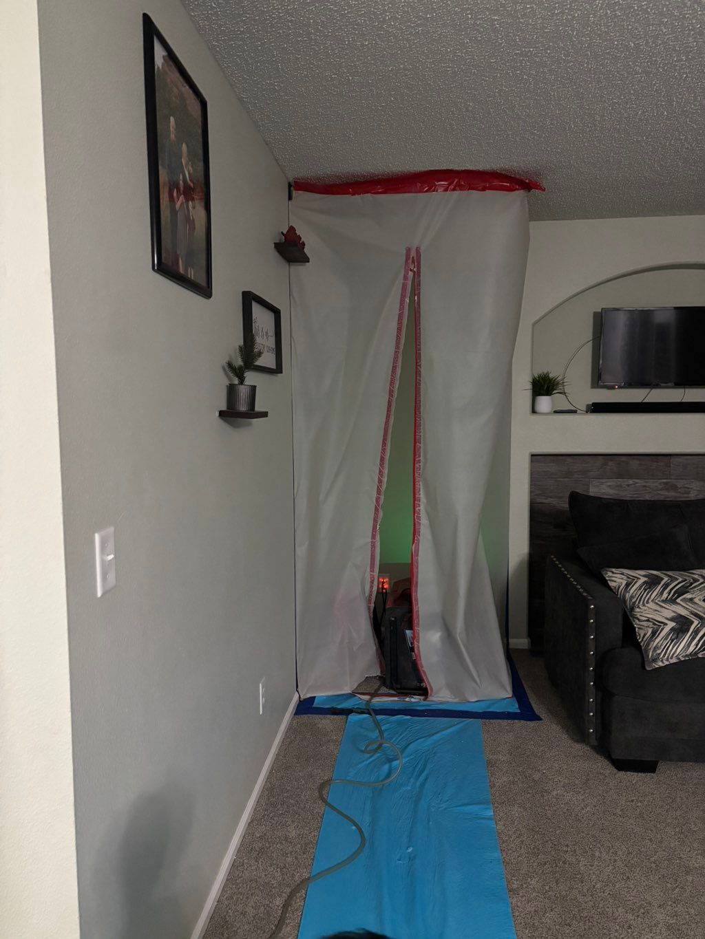 Customer photos