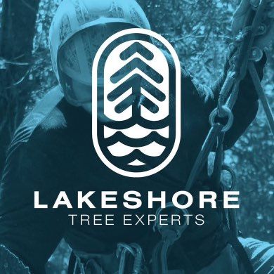 Avatar for Lakeshore Tree Experts