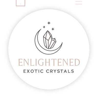 Avatar for Enlightened Exotic Graphic Designs/Website Builder