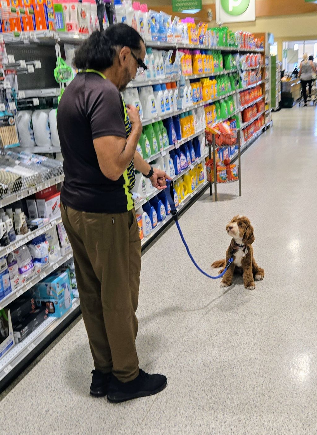 Service Dog Alfie