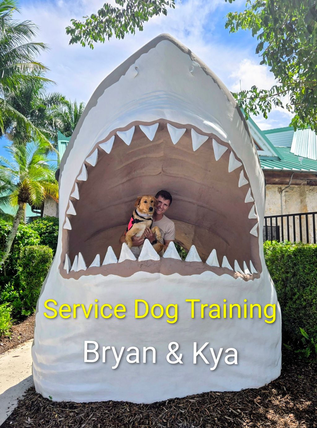 Service Dog Kya