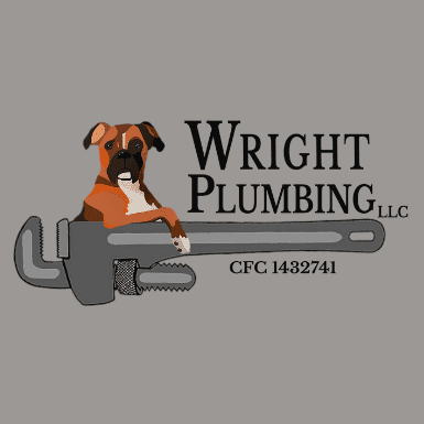 Avatar for Wright Plumbing
