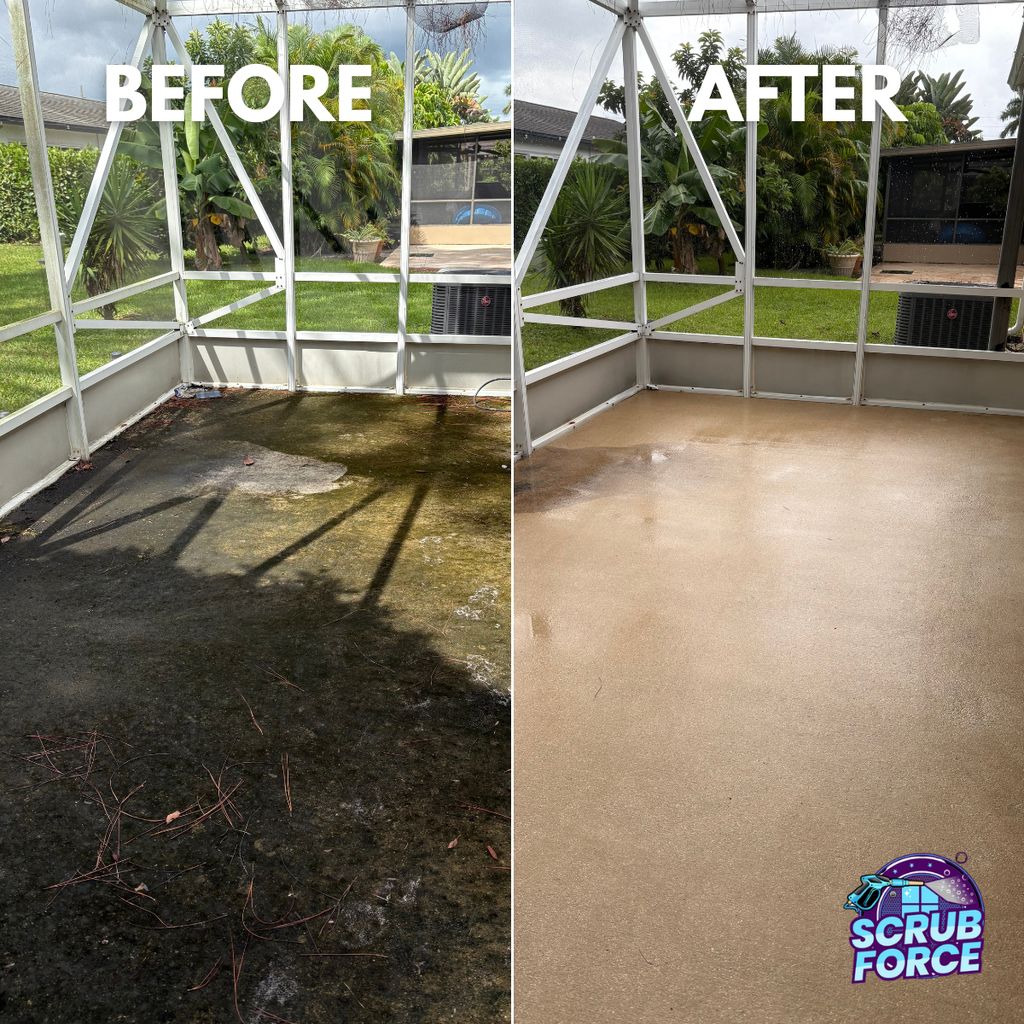 Patio Cleaning