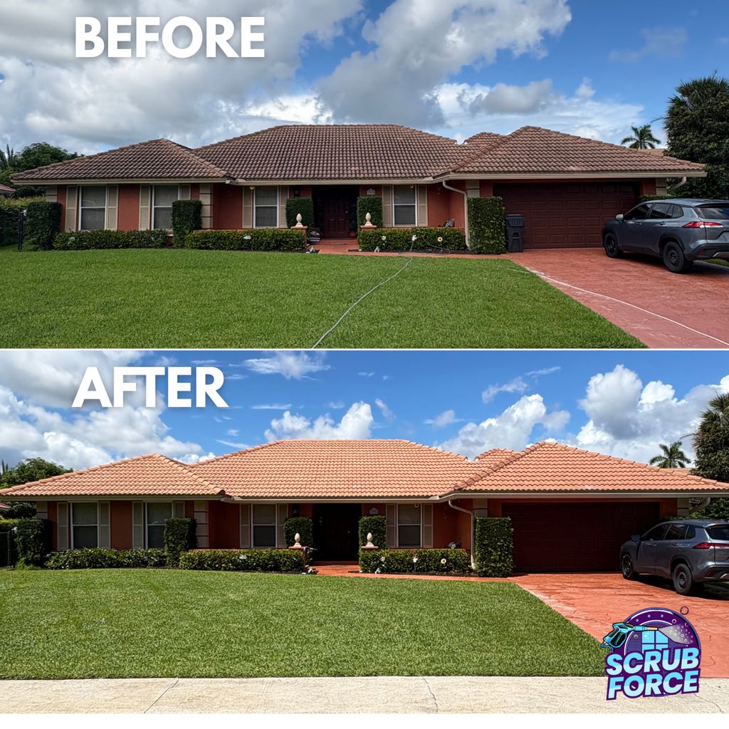 Amazing Difference Roof Soft Wash!