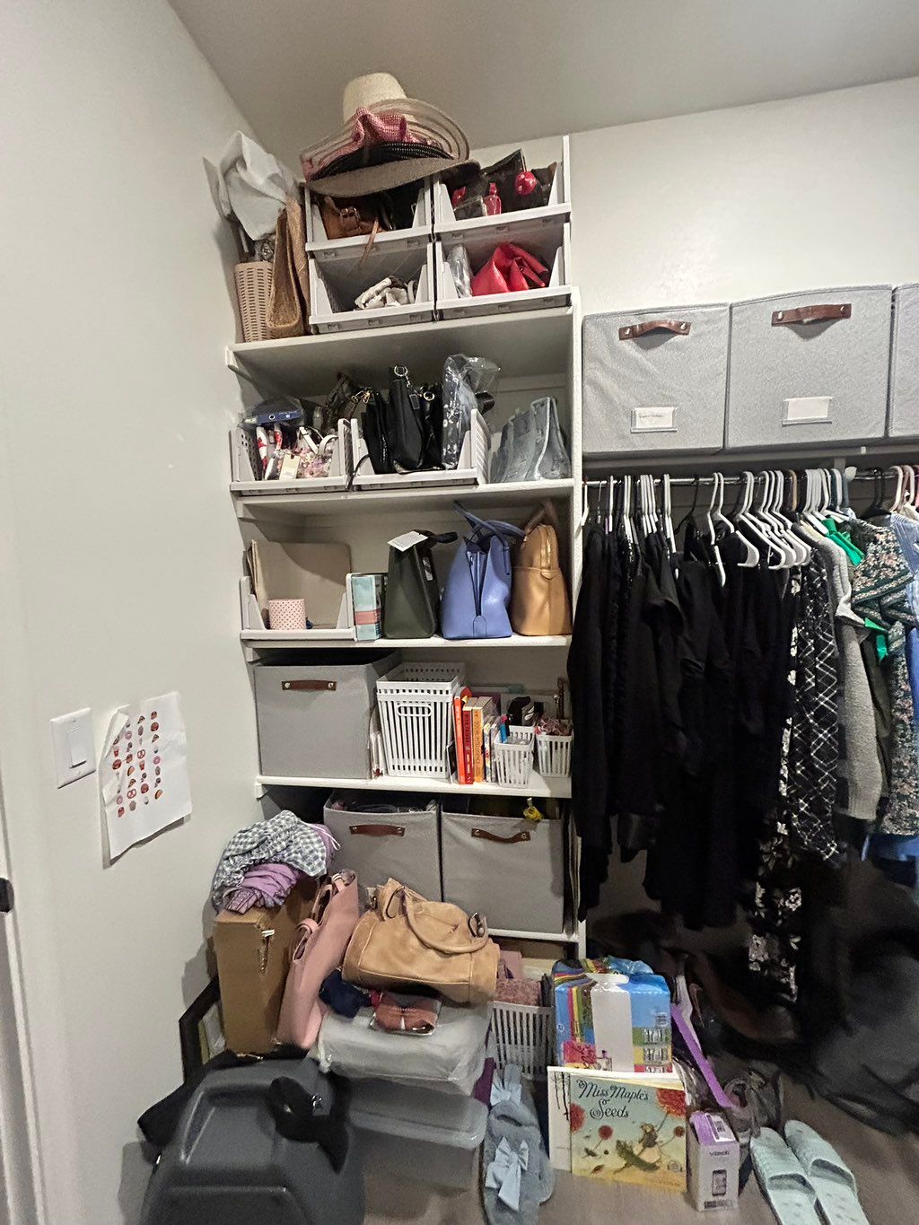 PHASE 1: From overwhelm to order, one bin at a tim