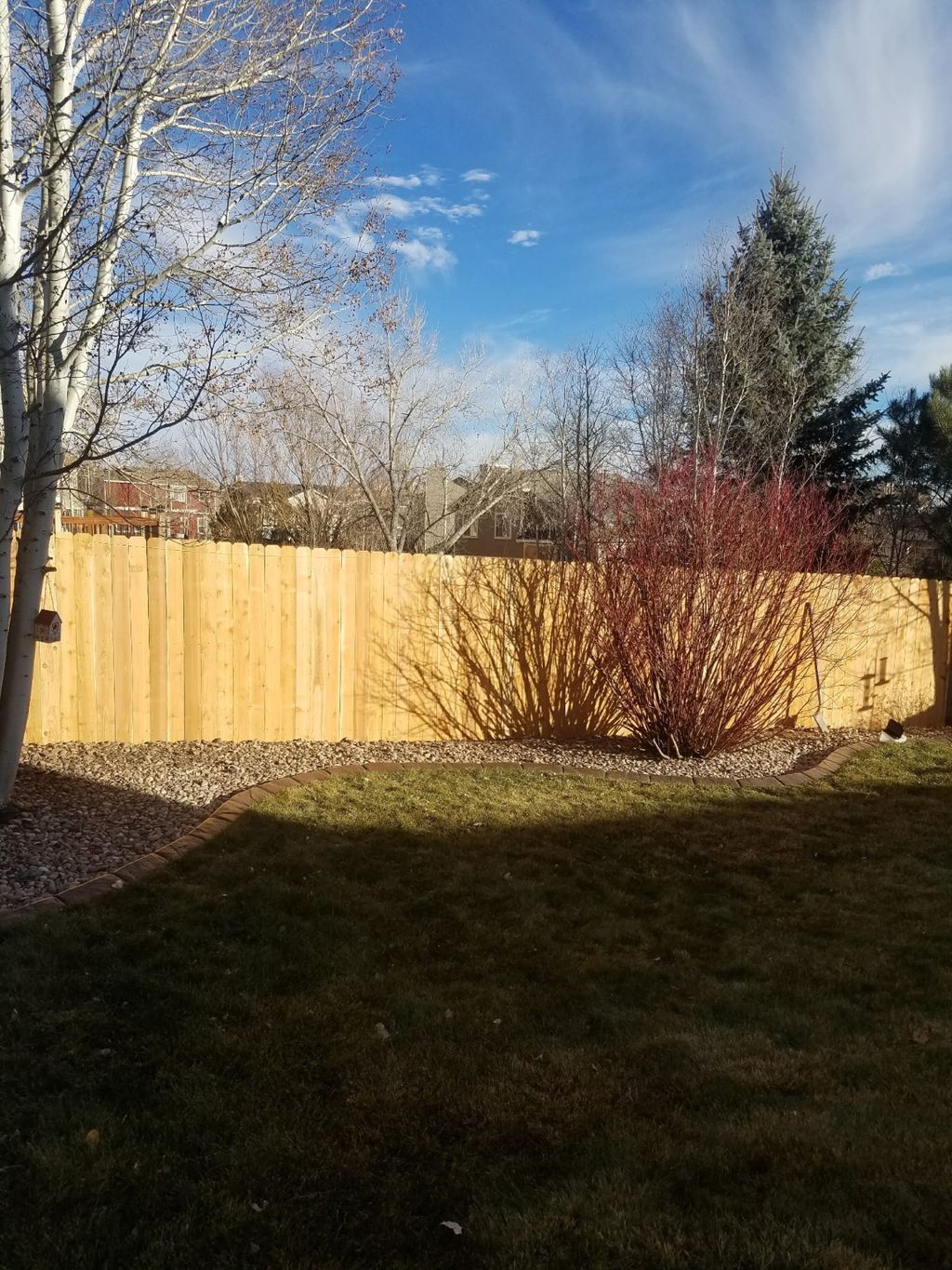 Customer photos