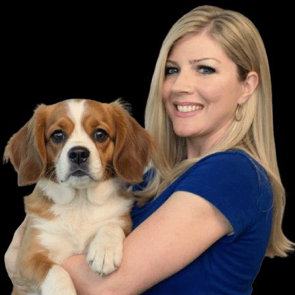 Model K-9 Dog Training Fort Worth