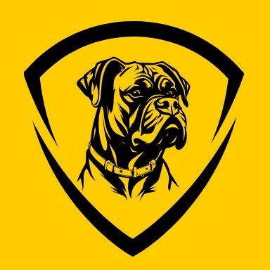 Boxers Moving LLC