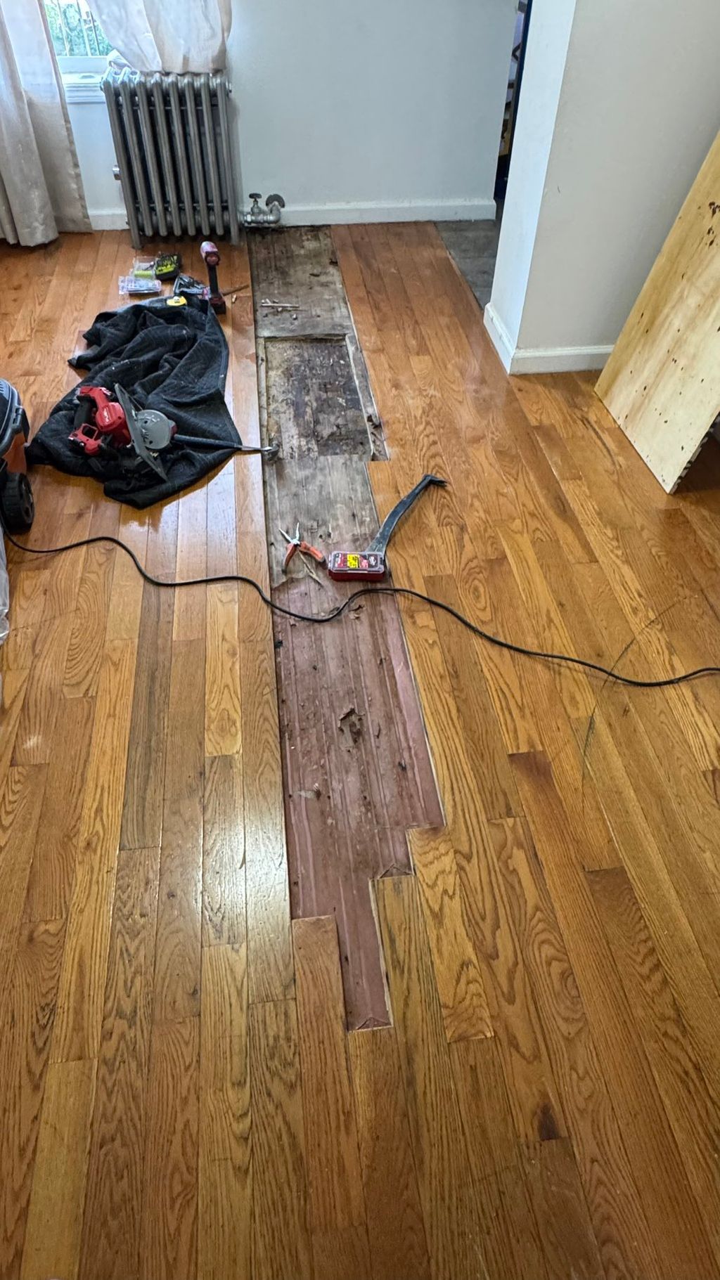 Projects and media