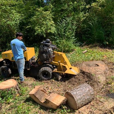 Avatar for S&G tree & hardscape pros LLC