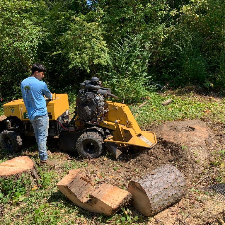 S&G tree & hardscape pros LLC