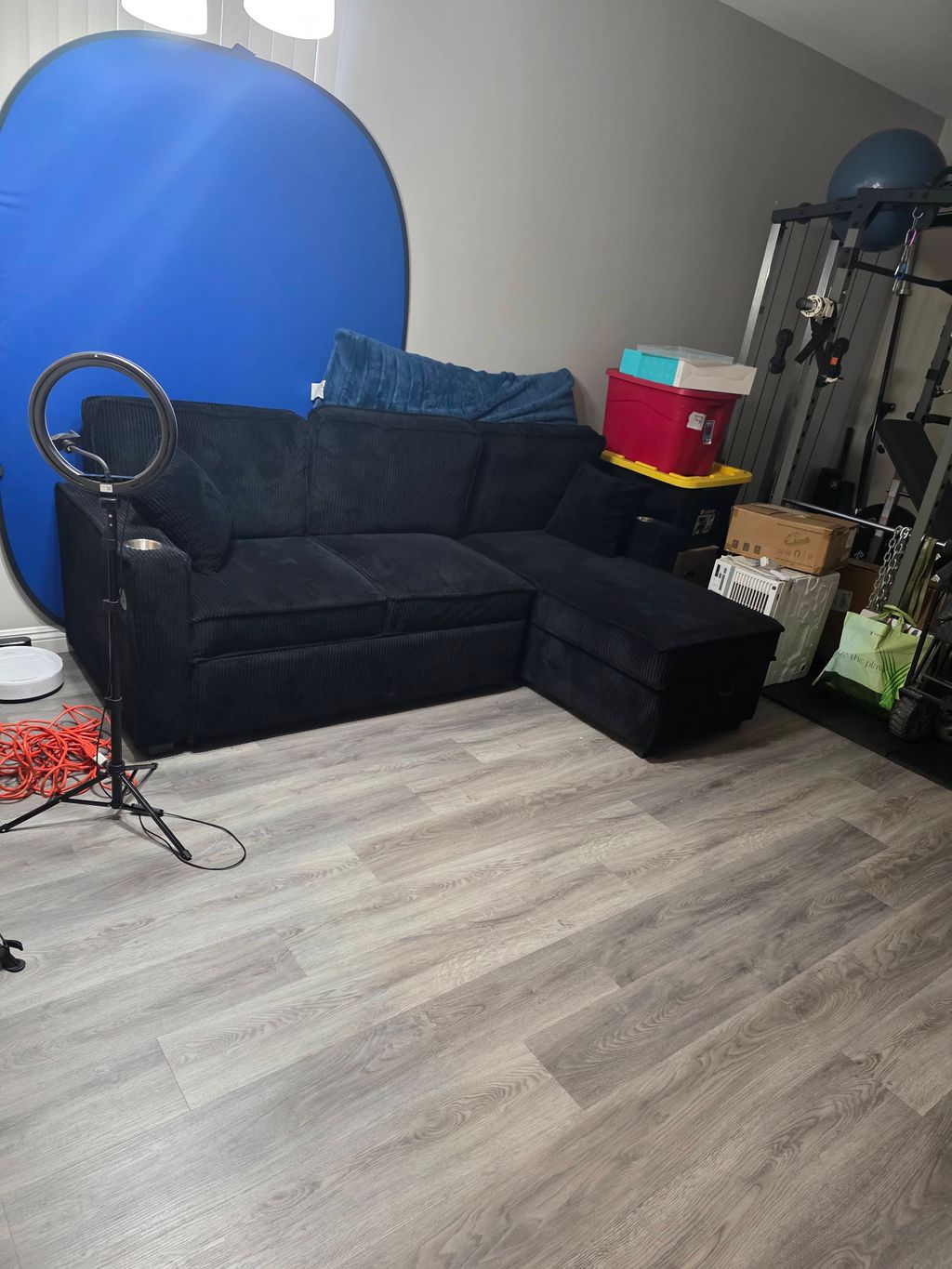 Projects and media