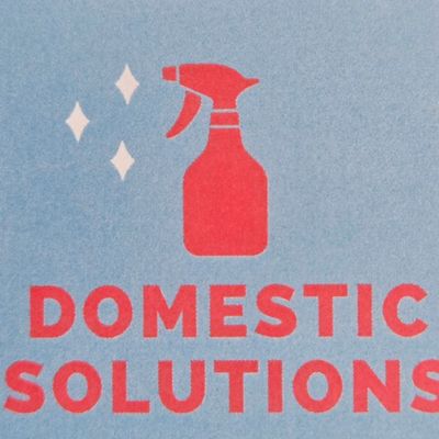 Avatar for Domestic Solutions