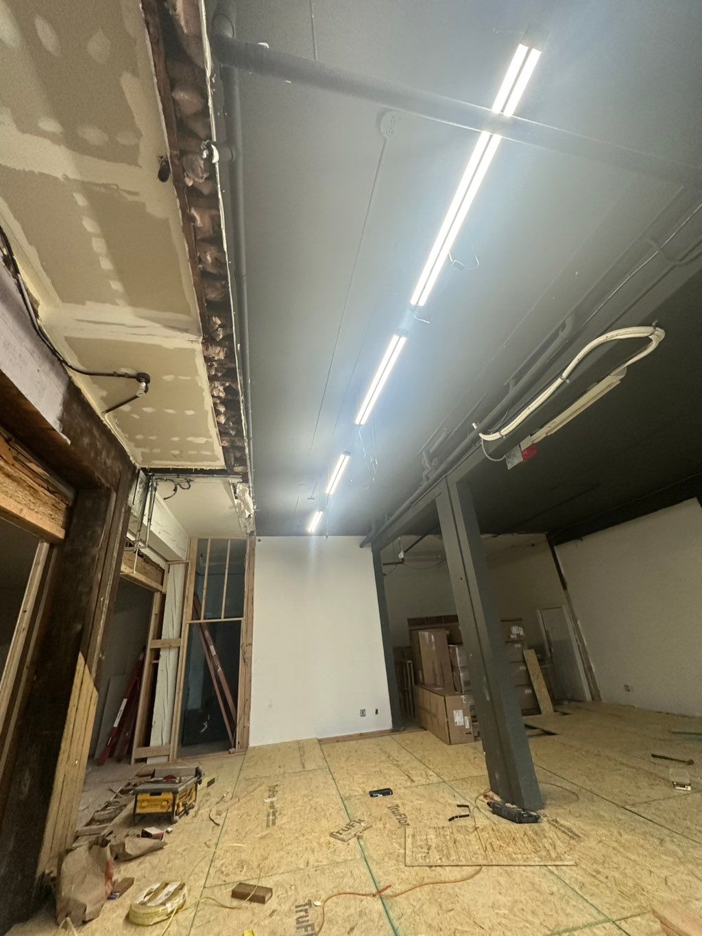 Projects and media